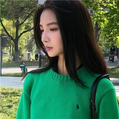 救起池中的猎豹 海报